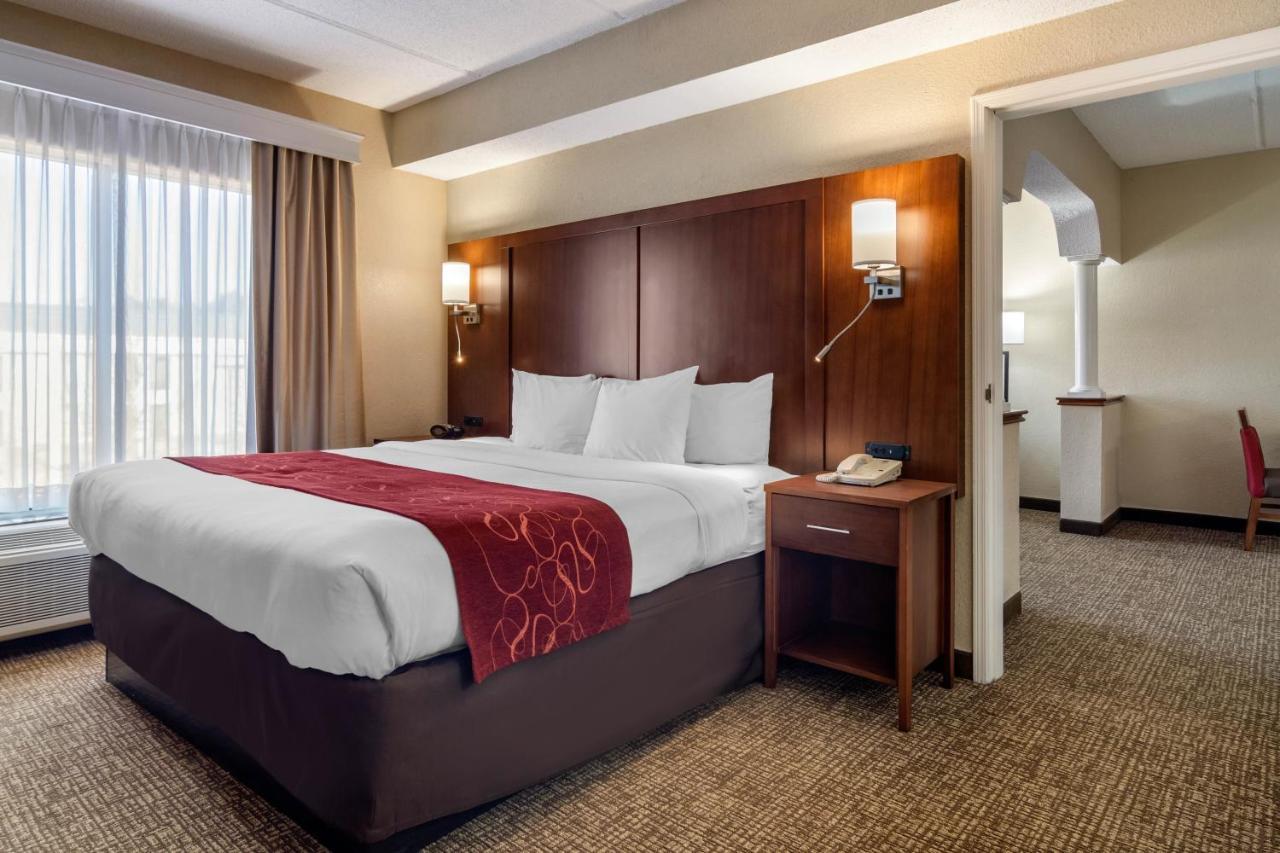 Comfort Suites Woodstock - Atlanta North Room photo